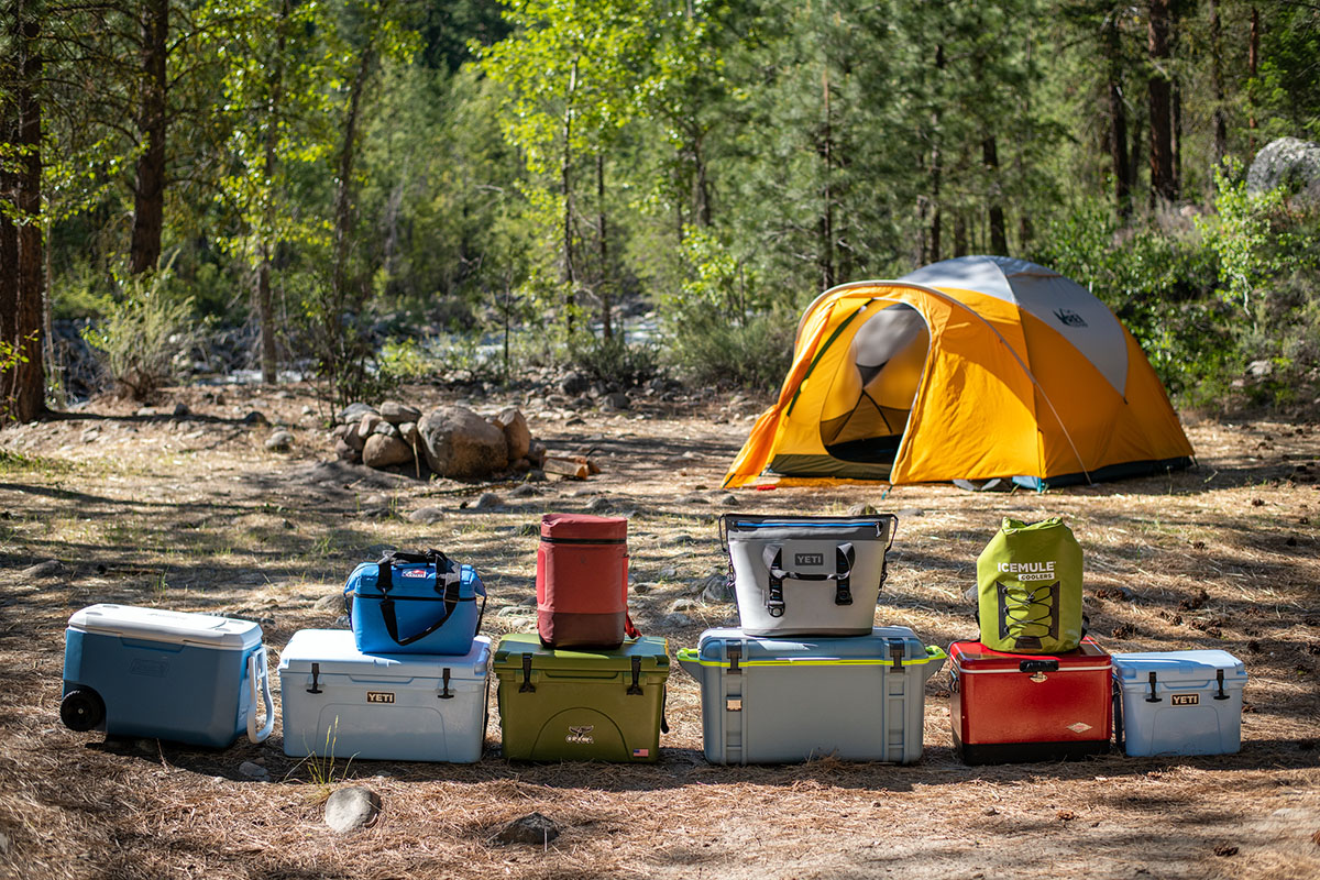 Backpack coolers (lined up with hard- and soft-sided coolers)